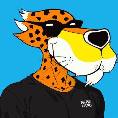 iammrcheetos